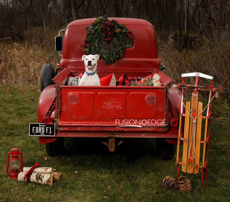 Vintage Red Truck Holiday Session  | Pet-Photography-ford-family.jpg