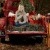 Vintage Red Truck Holiday Session  | catsredtruck.jpg